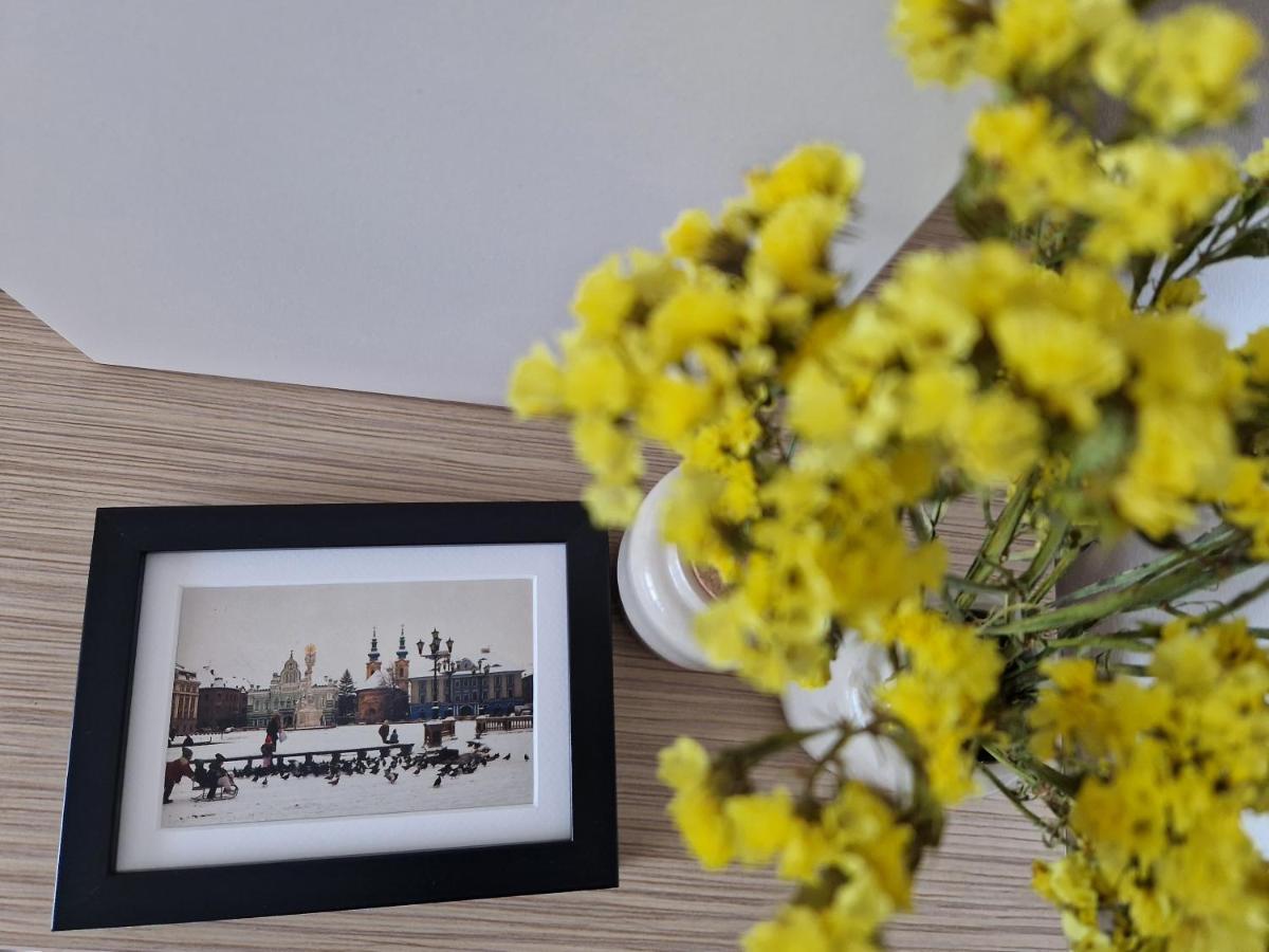 Central Skystudio Daire Temeşvar Dış mekan fotoğraf